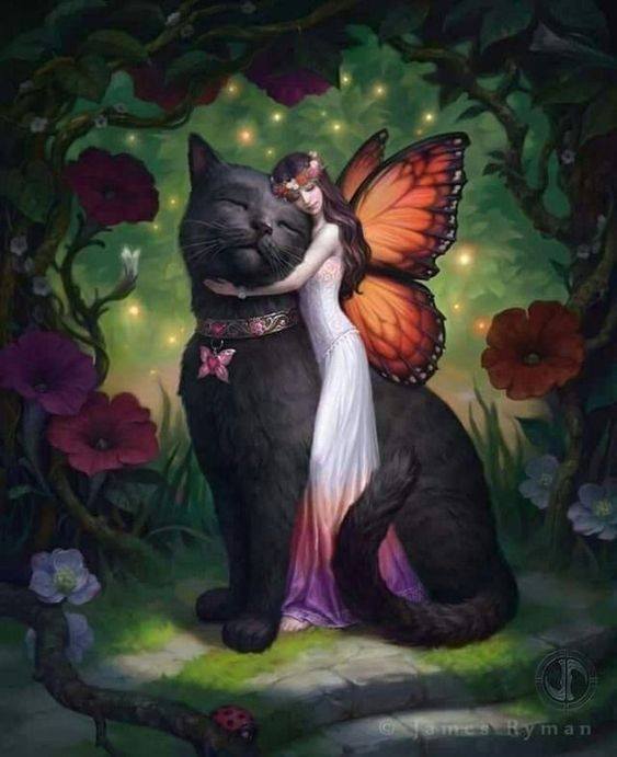 fairy and kitty